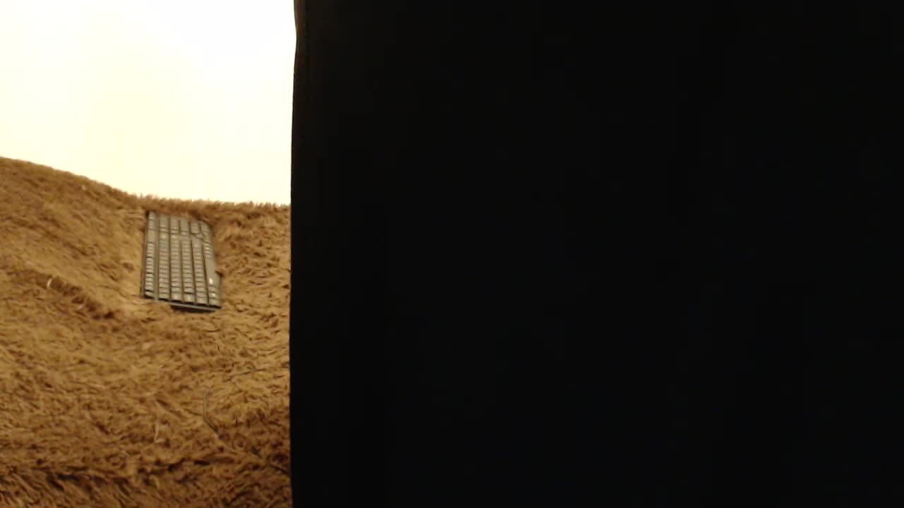 NINA-RICCI Adult Chat January 11, 2026