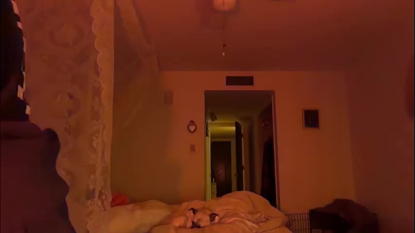 channel022 Adult Chat January 11, 2026