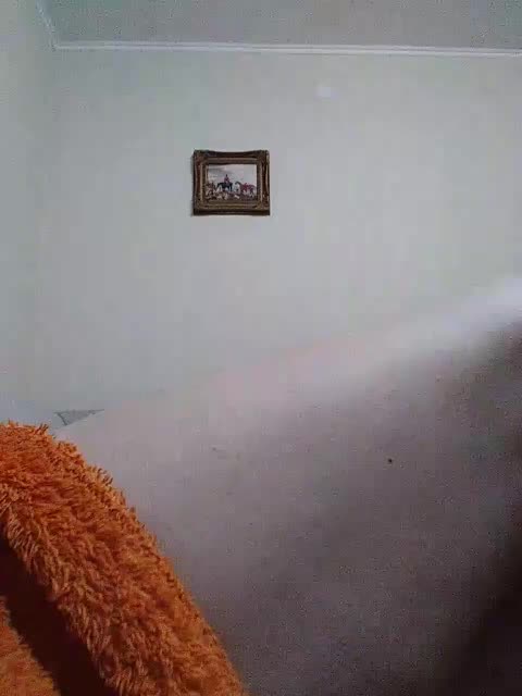 KlientVsegdaPrav Adult Chat January 11, 2026