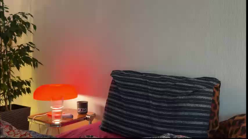 di_n_alex Adult Chat January 11, 2026