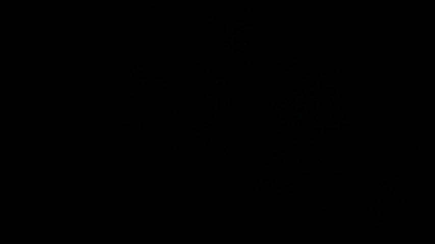 aisharouhi Adult Chat January 11, 2026