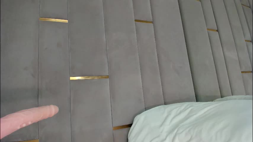 evalims Adult Chat January 11, 2026