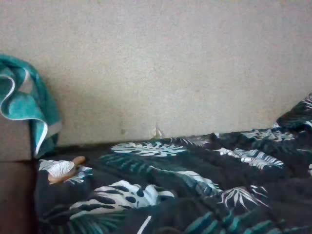 rDIORr Adult Chat January 11, 2026