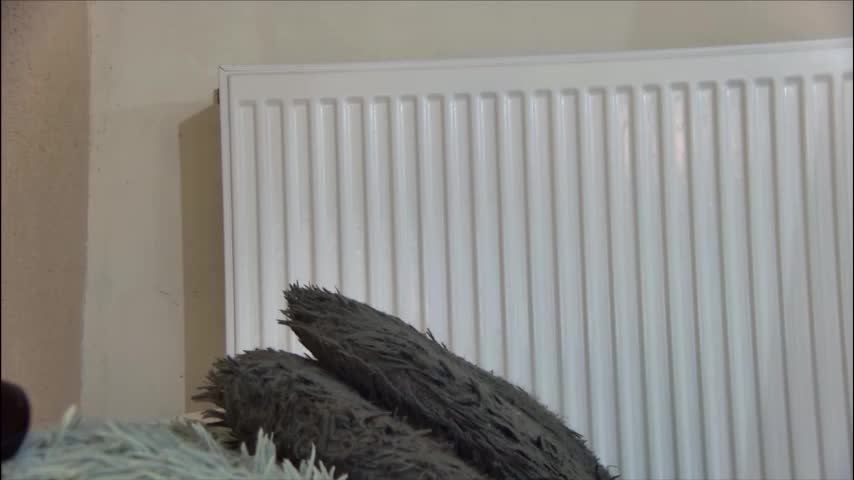 anaworld69 Adult Chat January 12, 2026