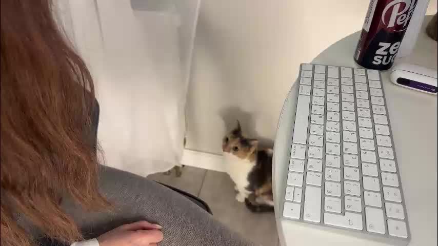 xxx_leila Adult Chat January 12, 2026