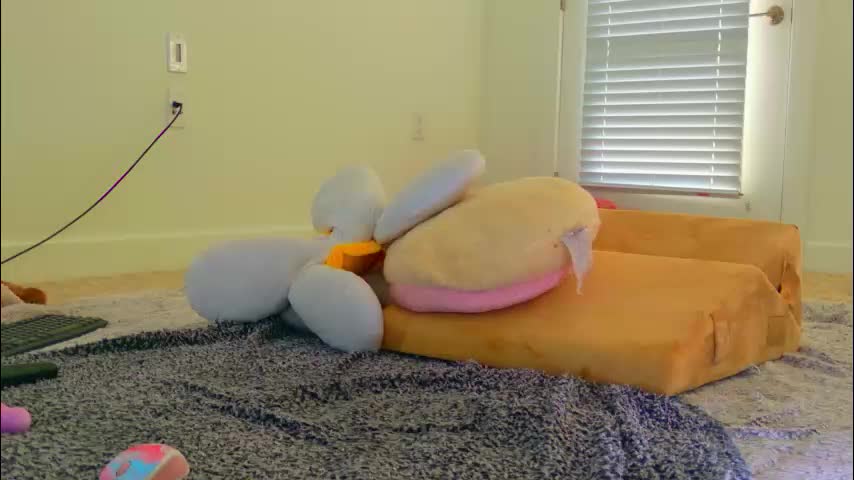 shaylavee Adult Chat January 12, 2026