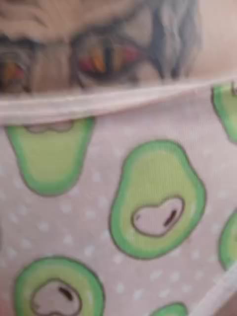 RedFox9595 Adult Chat January 12, 2026