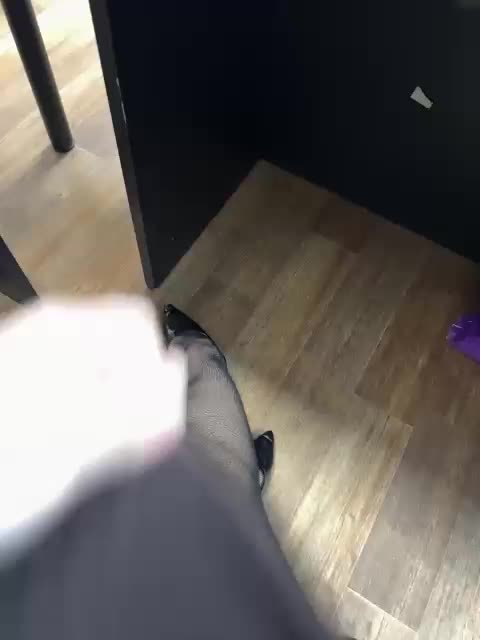 LustySass Adult Chat January 12, 2026