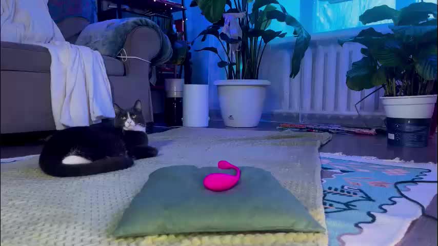 sasha_moormeoow Adult Chat January 12, 2026