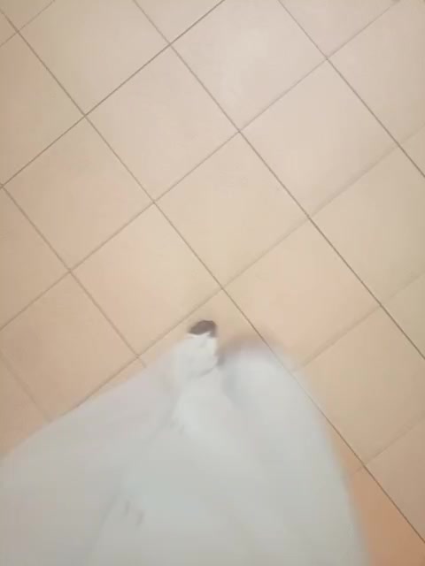 Lady-marshmallows Adult Chat January 12, 2026