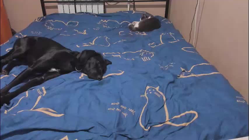 eva_zero Adult Chat January 12, 2026