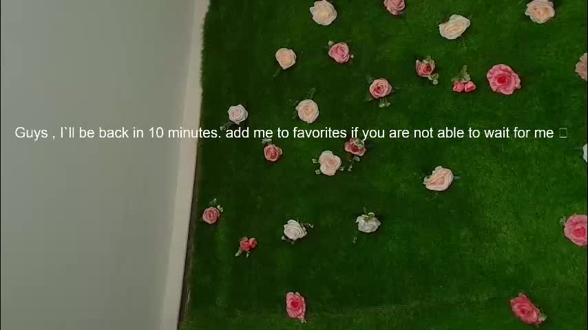 megatitts_ Adult Chat January 12, 2026