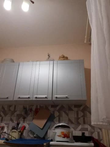 Katy19801 Adult Chat January 12, 2026