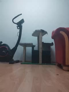 IrinaLitvinova Adult Chat January 12, 2026