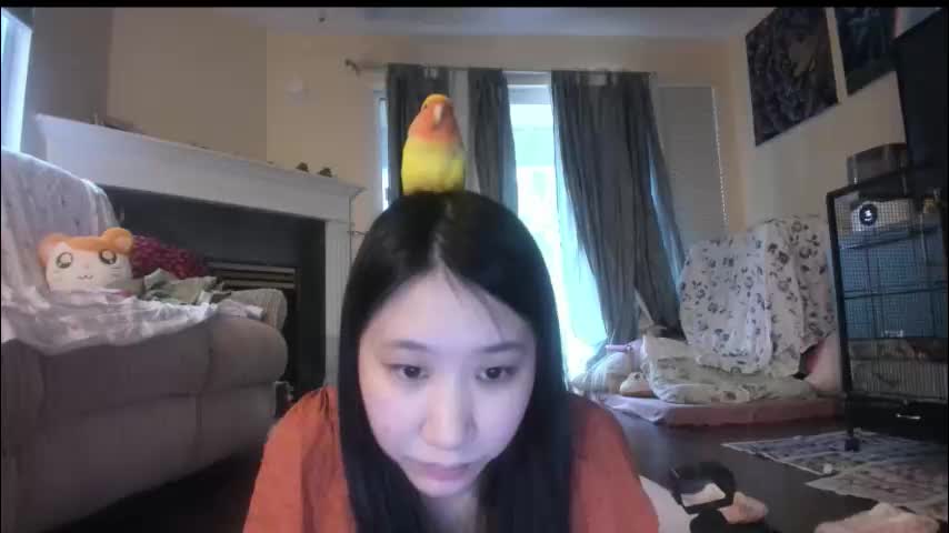 alizezaide Adult Chat January 13, 2026