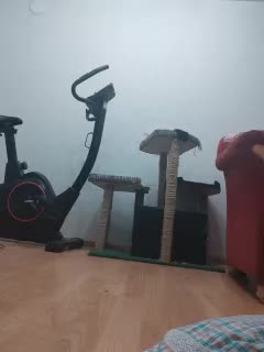 IrinaLitvinova Adult Chat January 13, 2026