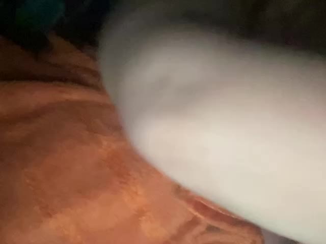 EVIL_TITS Adult Chat January 13, 2026