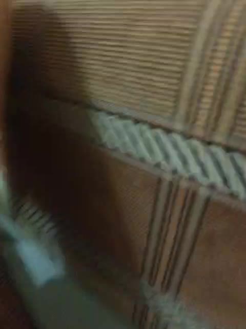 Dooomina35 Adult Chat January 13, 2026