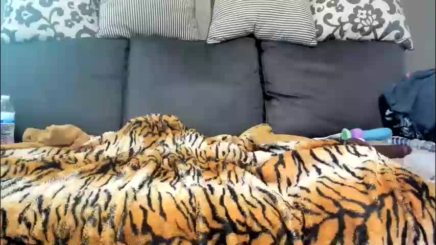 kinkykortney Adult Chat January 14, 2026