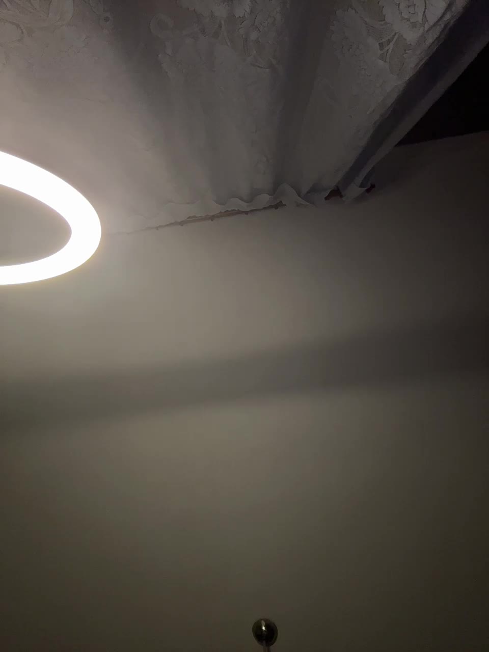 -Molly-Mae- Adult Chat January 14, 2026