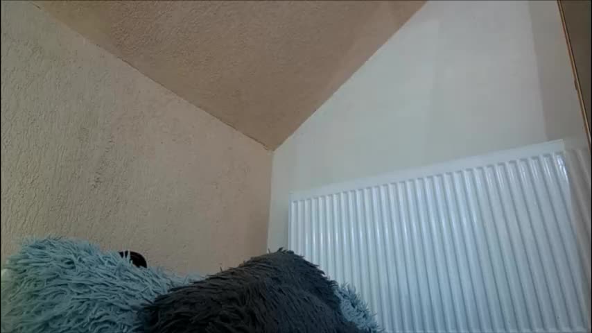 anaworld69 Adult Chat January 15, 2026