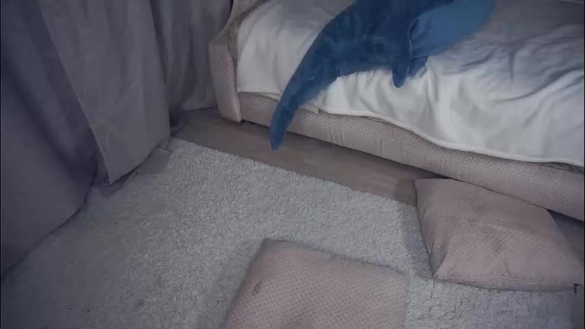 meghanantell Adult Chat January 15, 2026