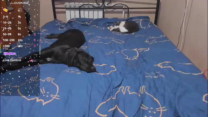 eva_zero Adult Chat January 15, 2026