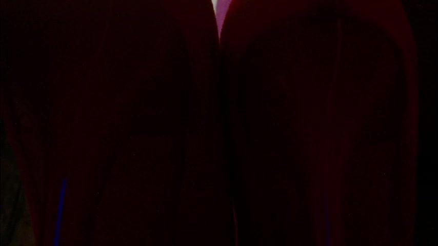 imcarrieberry Adult Chat January 15, 2026