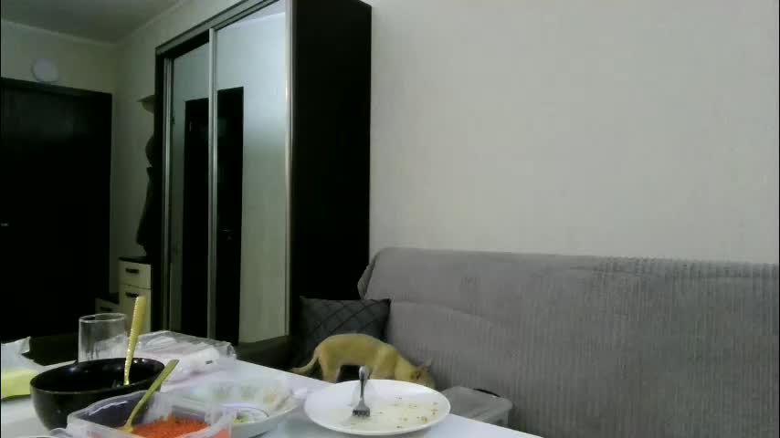 best_ass2000 Adult Chat January 15, 2026