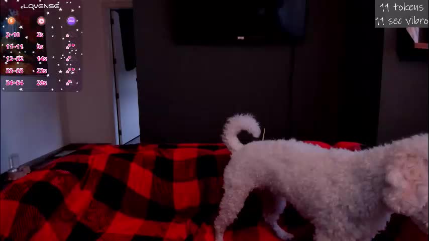 kortney_williams Adult Chat January 15, 2026