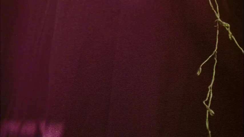 imcarrieberry Adult Chat January 16, 2026