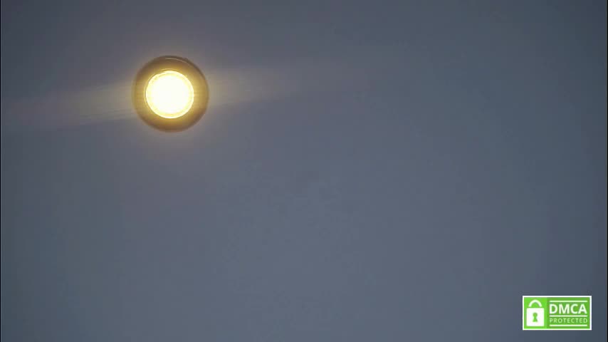 tashinapetitto Adult Chat January 15, 2026