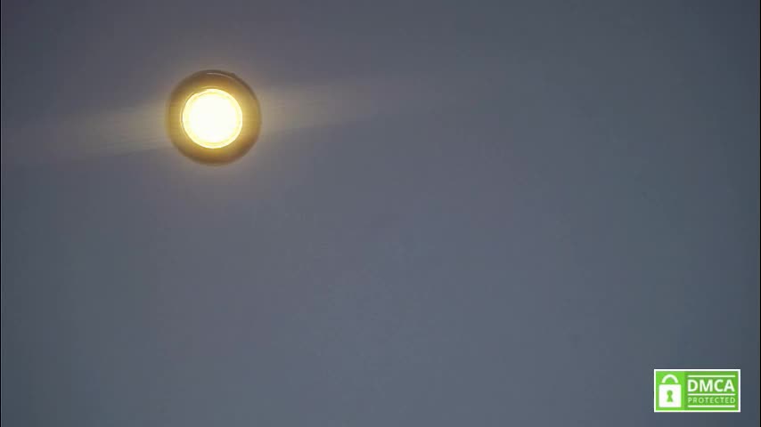 tashinapetitto Adult Chat January 16, 2026