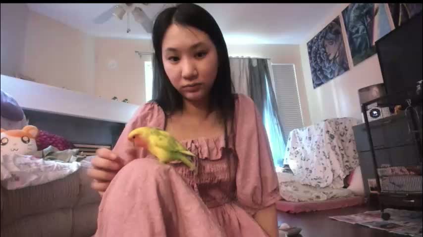 alizezaide Adult Chat January 16, 2026