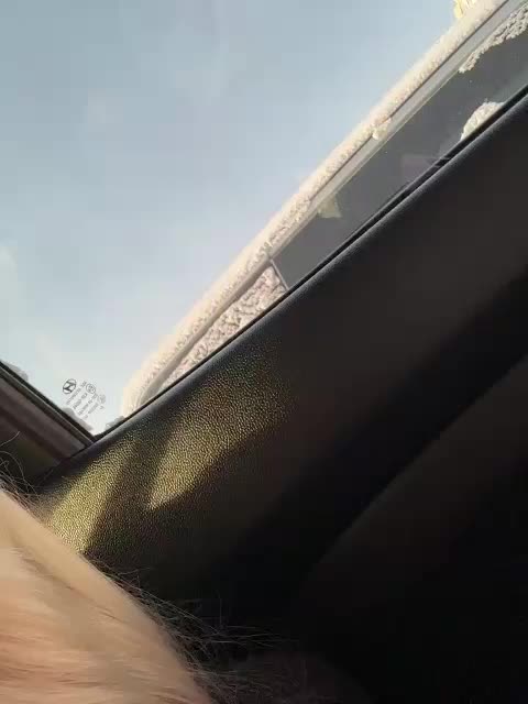 -Estonia- Adult Chat January 16, 2026