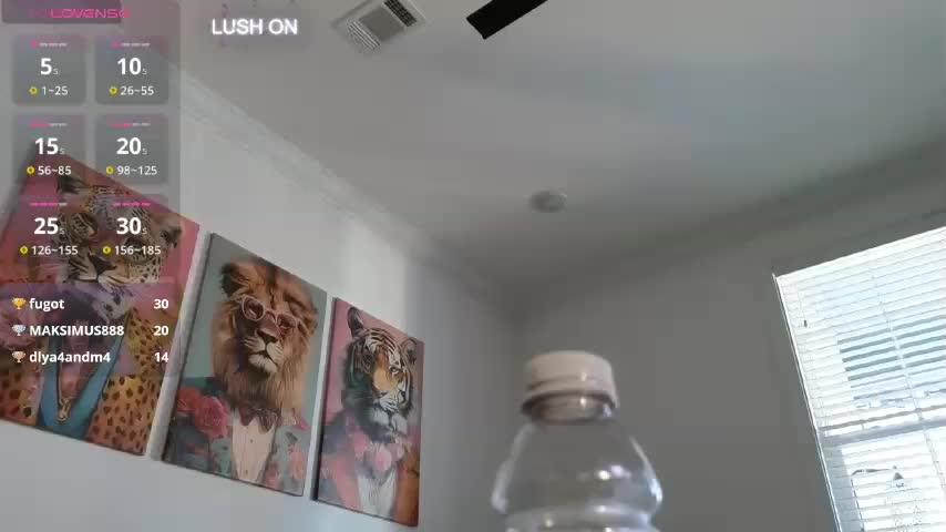 VioletBaby Adult Chat January 16, 2026