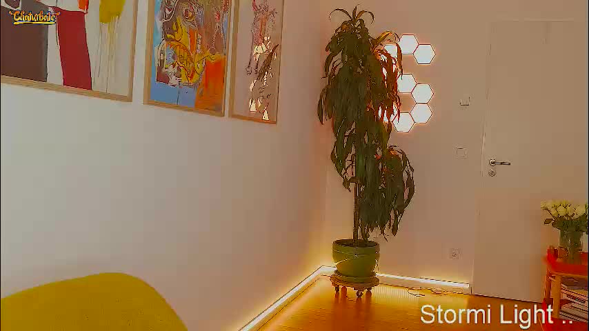 stormi_light Adult Chat January 17, 2026