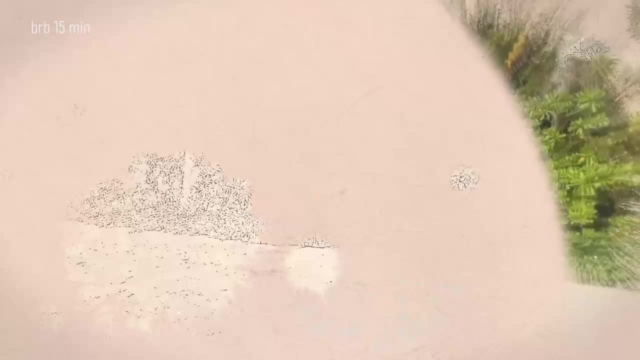 Taanni Adult Chat January 17, 2026