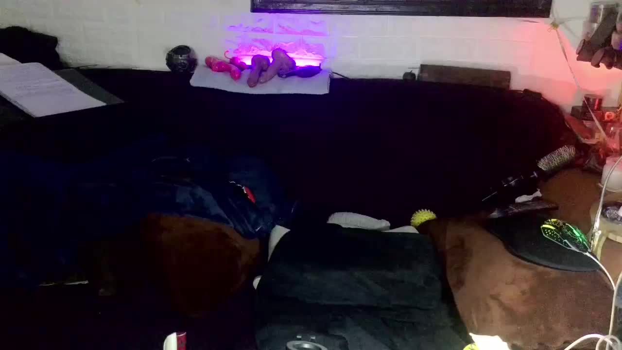 Fantasyca Adult Chat January 17, 2026