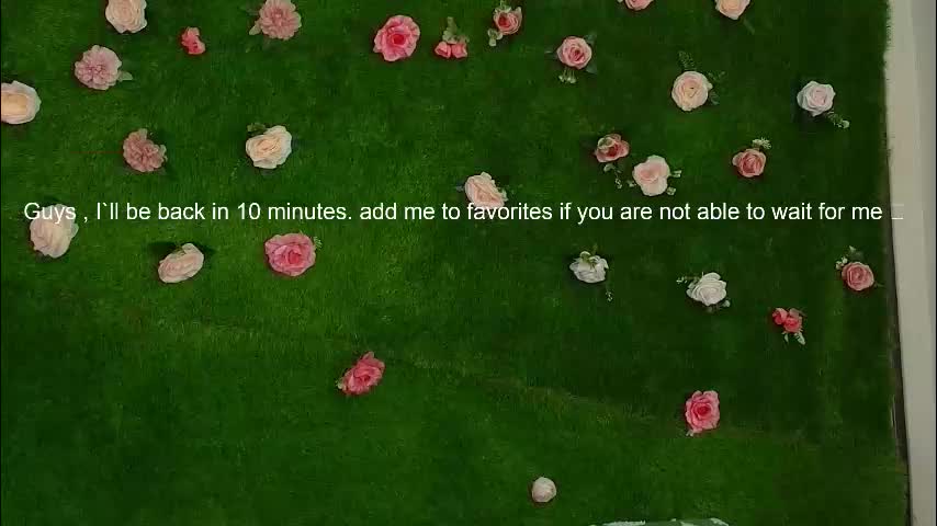 megatitts_ Adult Chat January 17, 2026