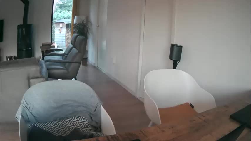 woodwurm Adult Chat January 18, 2026