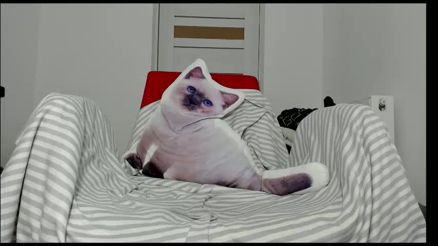 you_love_melisa Adult Chat January 18, 2026