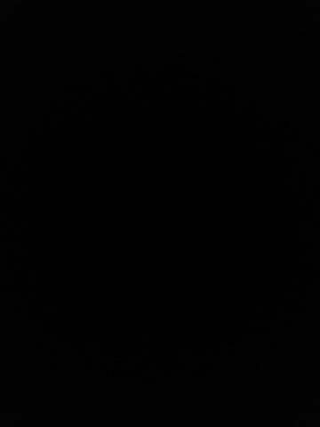 Macho797-174 Adult Chat January 18, 2026