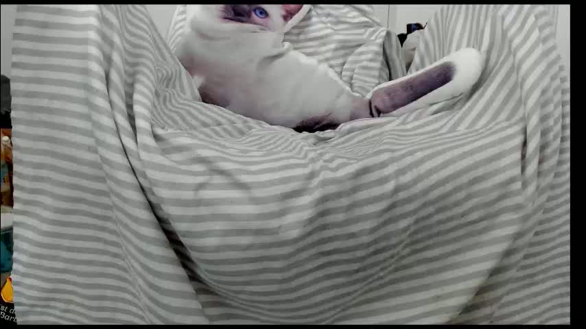 you_love_melisa Adult Chat January 18, 2026