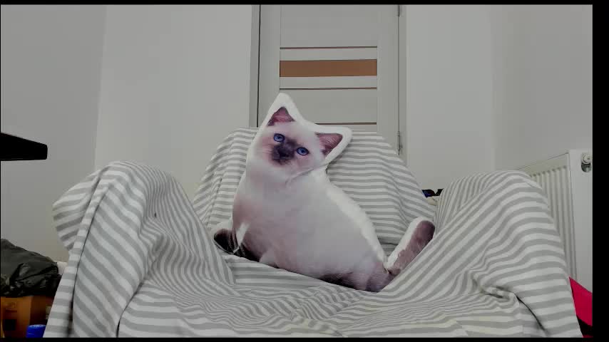 you_love_melisa Adult Chat January 18, 2026