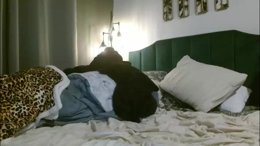 hazel_skye Adult Chat January 18, 2026