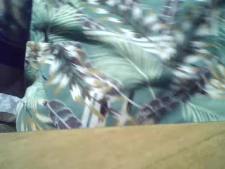 SEKSI-44 Adult Chat January 18, 2026