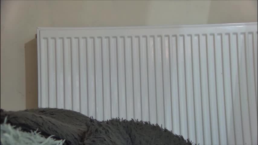 anaworld69 Adult Chat January 18, 2026