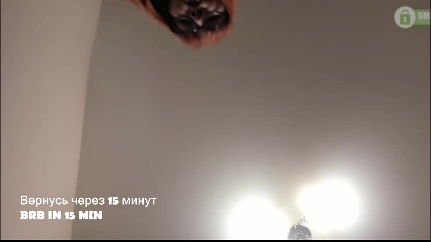 red_fox777 Adult Chat January 18, 2026