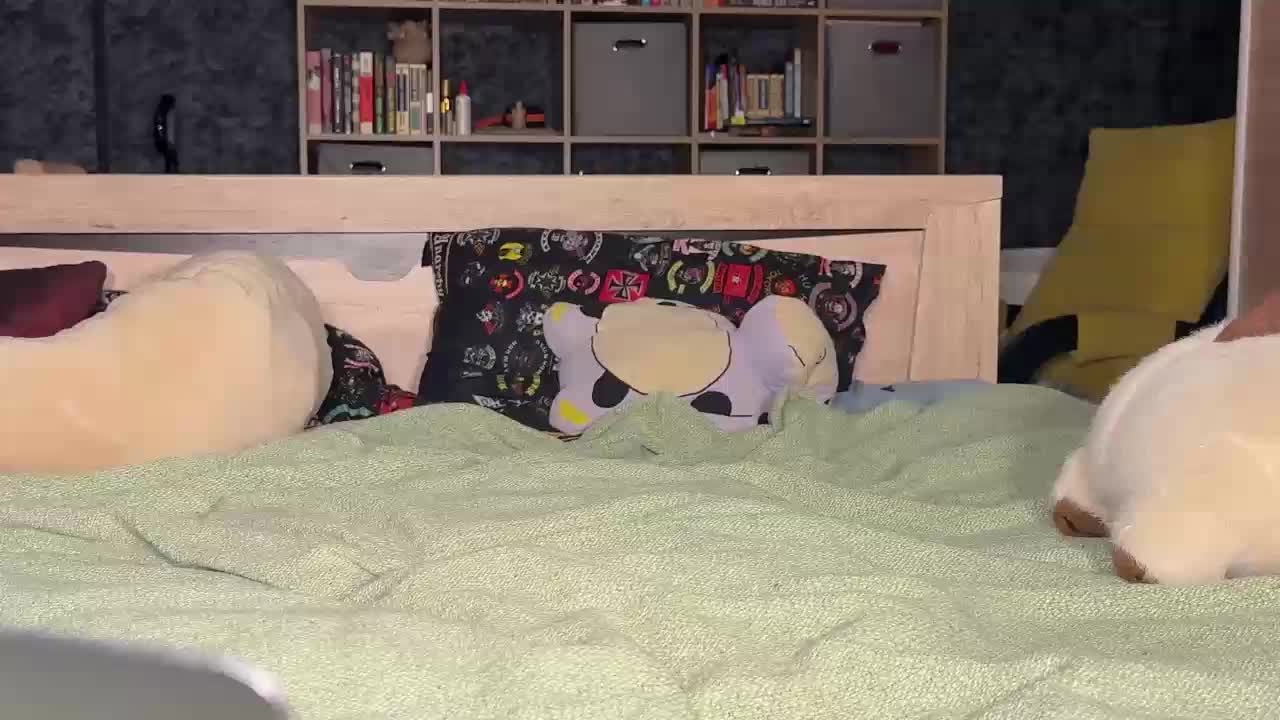 charmingaura1 Adult Chat January 18, 2026